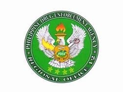 Image result for PDEA Academy Logo