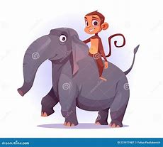 Image result for Monkey Riding Animals