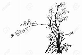 Image result for Chinese Flower Drawings