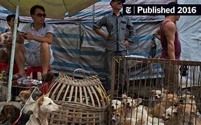 Image result for Chinese Night Market Dog Meat