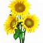 Image result for Sunflower Image Clip Art No Background