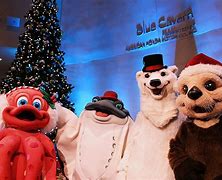 Image result for Aquarium of the Pacific Mascots