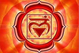 Image result for 1st Chakra