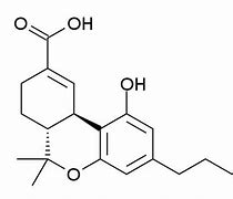 Image result for Carboxy-THC