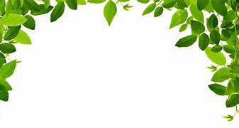 Image result for Free Jungle Border Clip Art