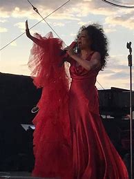 Image result for Diana Ross Sequin Dress