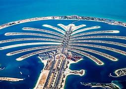 Image result for Palm Isla