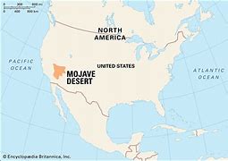 Image result for Mojave Desert National Monument