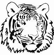 Image result for White Tiger Clip Art