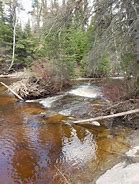 Image result for Lynx Lake NWT