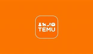 Image result for Temu Man