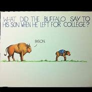 Image result for Buffalo Sayings