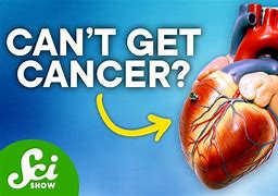 Image result for Heart for Cancer