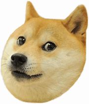 Image result for Dog Meme PNG