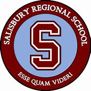 Image result for SRS 13 Logo