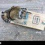 Image result for Dead Rat Trap