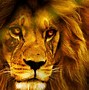 Image result for Rainbow Lion Art