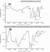 Image result for Polyaniline Ftir