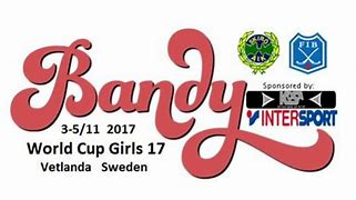 Image result for World Cup Bandy