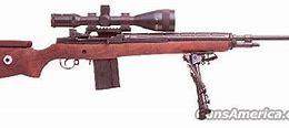 Image result for Springfield M21