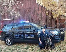 Image result for Police Car K9 Dog