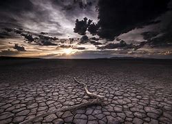 Image result for Dried Desert