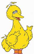 Image result for Big Bird Finch