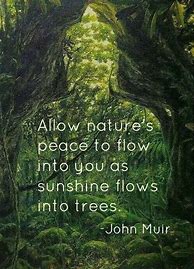 Image result for Find Peace in Nature Quotes