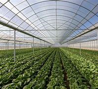 Image result for Organic Farm Class HD