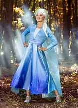 Image result for Frozen Elsa Dresses