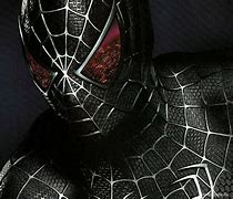 Image result for Black Spider-Man Spider