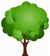 Image result for Tree Pictures Clip Art