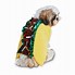 Image result for Cat Taco Oodie