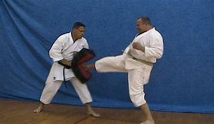 Image result for Karate Front Kick