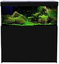 Image result for Aqua One Fish Tank