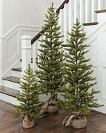 Image result for Three Chrismas Tree