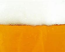 Image result for Beer Cover Photo Foam