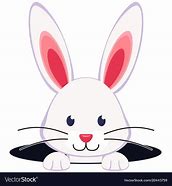 Image result for Rabbit Meme Face