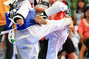 Image result for Front Kick Taekwondo