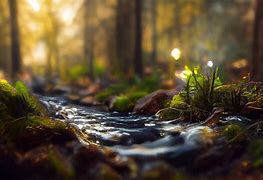 Image result for nature desktop wallpaper hd