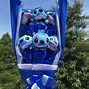 Image result for Disney Stitch Bouquet of Flowers