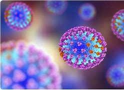 Image result for Influenzavirus A