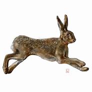 Image result for Leaping Hare Datsun