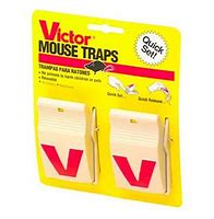 Image result for Baiting Victor Mouse Trap