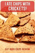 Image result for Insect Chips