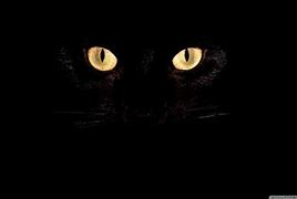 Image result for Cat Eyes Background