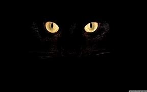 Image result for Cat Eyes Wallpaper