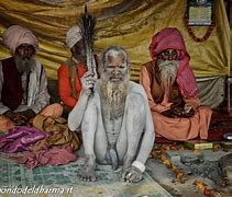 Image result for Naga Dog