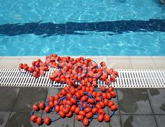 Image result for Olympic Pool Lane Dividers