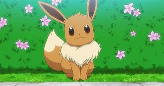 Image result for Eevee Doll